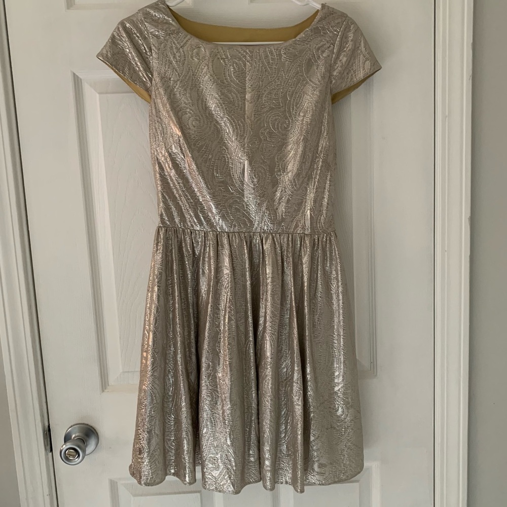 Shiny Hailey Logan Dress